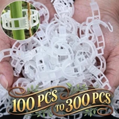 100x clip tomato and veggie - 100x,
