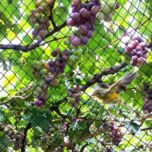 Garden netting heavy duty - netting,