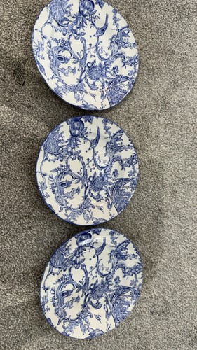 Spode provincial garden - spode,