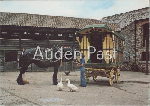 Romany caravan shire - romany, horse