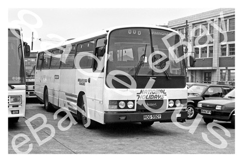 Bus photograph midland - photograph, red