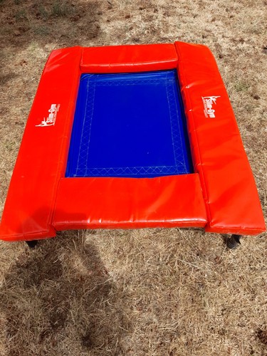 Gymnastics vaulting launch - gymnastics,
