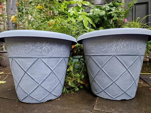 Quality large 46cm - large,
