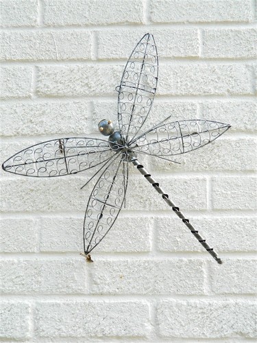 Dragonfly wall art garden - wall,