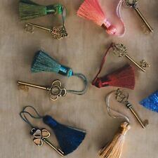 Vintage skeleton key with