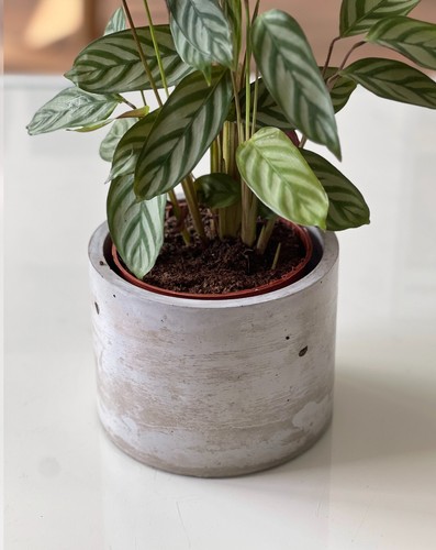 Concrete plant pot round 15cm - concrete,