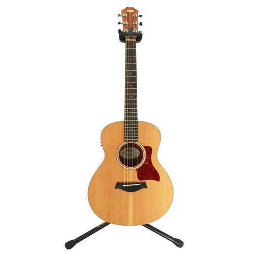 Taylor mini electric - gs,
