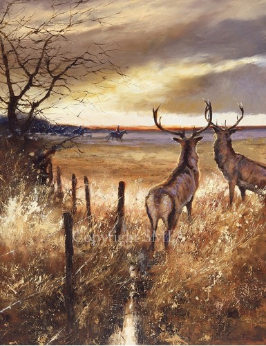 Mick cawston the onlookers - 'the, onlookers'