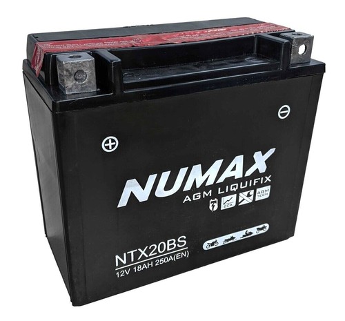 Numax ytx20 compatible - ytx20-bs,