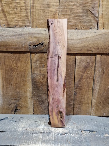 Live edge yew - live,