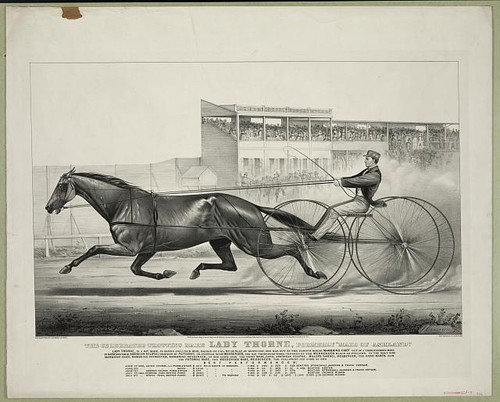 Celebrated trotting mare - celebrated,
