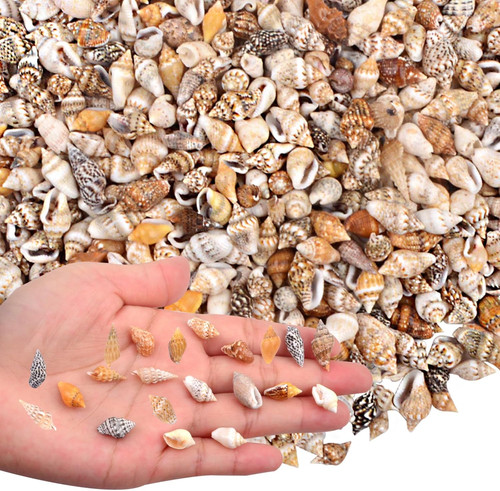 Agnurcade about 1000pcs - about, 1000pcs(200g)