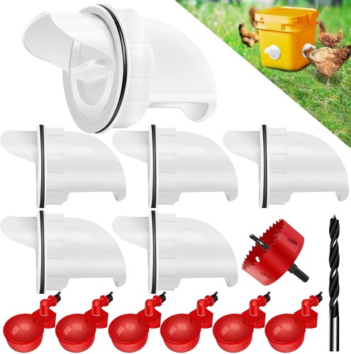 Chicken feeder waste - no,