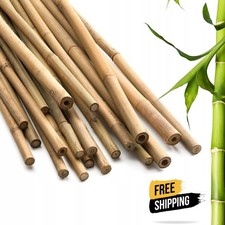 Heavy Duty Thick Strong Bamboo Canes 2FT-7FT Quality Garden Plant Support Sticks