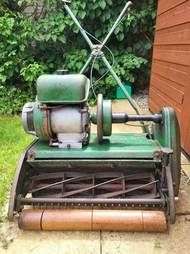 Ransomes marquis lawn - ransomes,