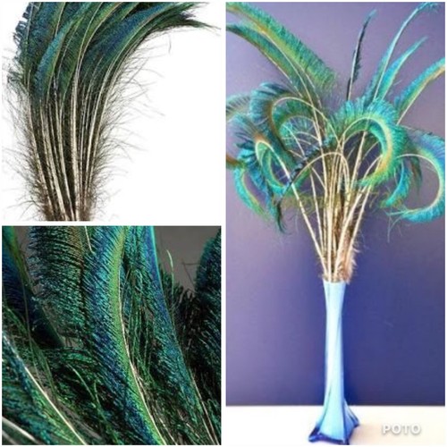 5pcs 35cm natural real - 30-35cm,