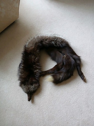 Silver fox fur stole art - stole,