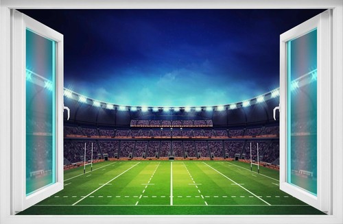 Rugby stadium wall art sticker - wall,