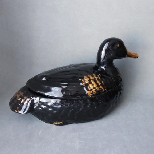 Old black duck and gold - old,