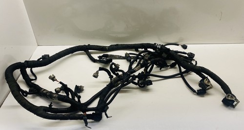 Engine wiring loom - loom, for
