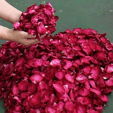 50g Wedding Confetti Natural Biodegradable Dried Petal Rose Flower Party Decor