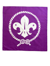 23" x 23" (59 x 59 cm) Scouts