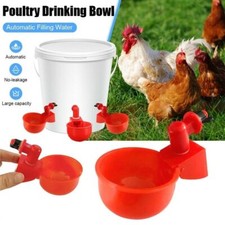 Automatic Chicken Water Cup