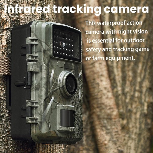 Wildlife hunting trail camera - wildlife,