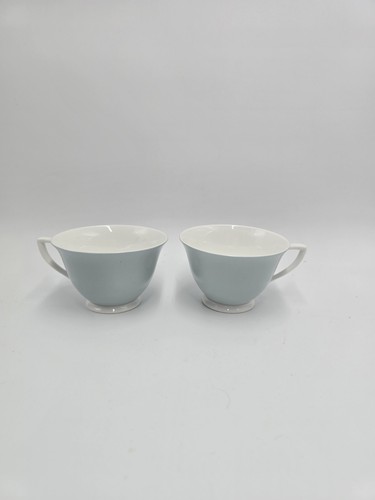 Vintage pale blue - blue, bone