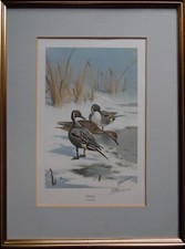 J C Harrison LE Signed Pintail