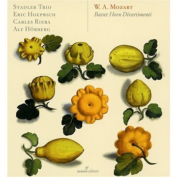 Wolfgang amadeus mozart - wolfgang,