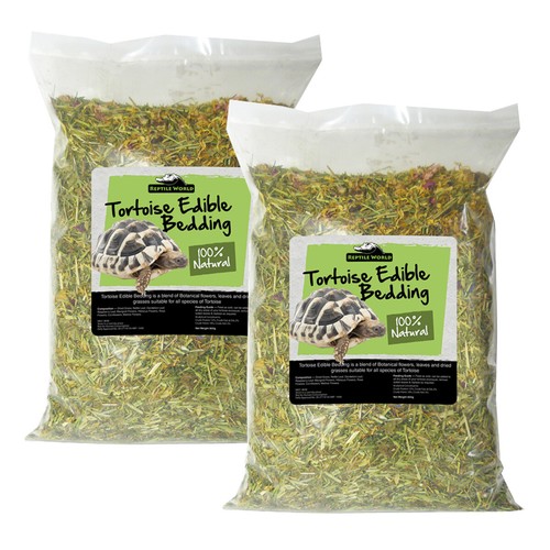 Reptile world tortoise - reptile,