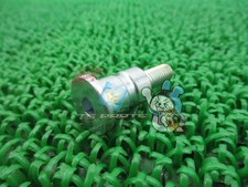 TZ250 Shift Pedal Bolt - In