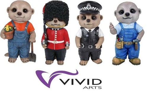 Vivid arts baby - arts, meerkat