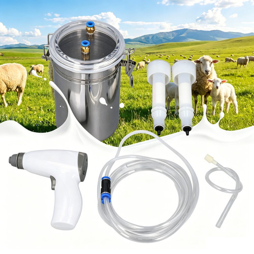 Electric sheep milking - sheep,