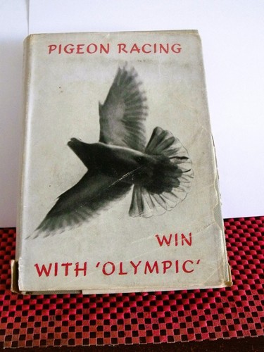 Vintage 1955 pigeon racing - pigeon,