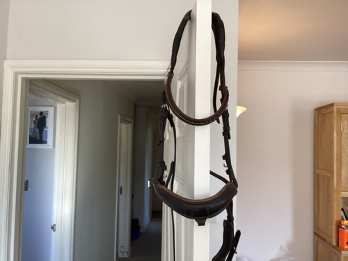 Bridle brown standard horse - brown,