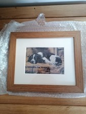 Beautiful Framed Picture of