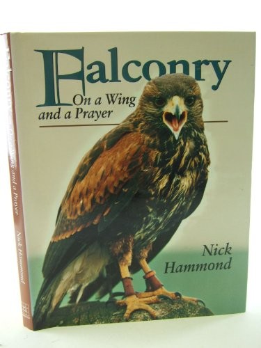 Falconry wing and a - falconry:,