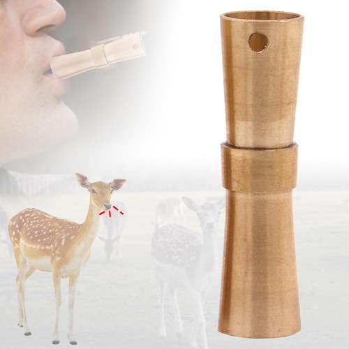 Deer calls muntjac whistle - deer,
