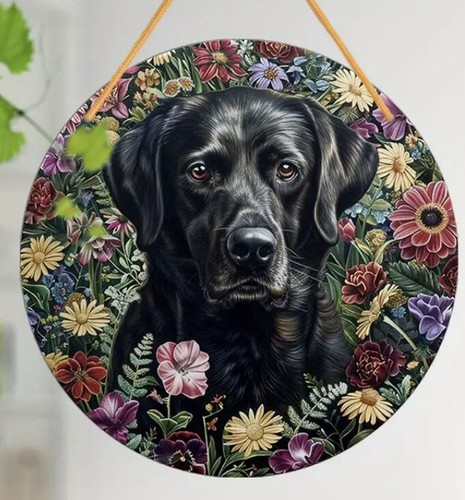 Labrador dog black - lover, large