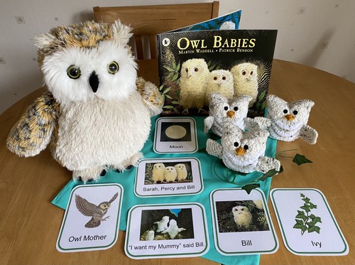 Owl babies story sack - owl,