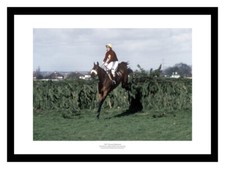 Red Rum's 3rd Grand National