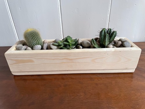 Wooden succulent planter pot - wooden,