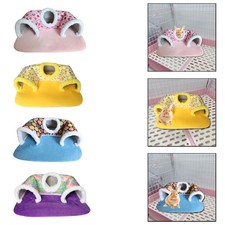 Guinea Pig Hideout Tunnel