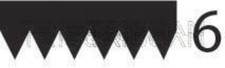 Black V-Ribbed Belt TRISCAN
