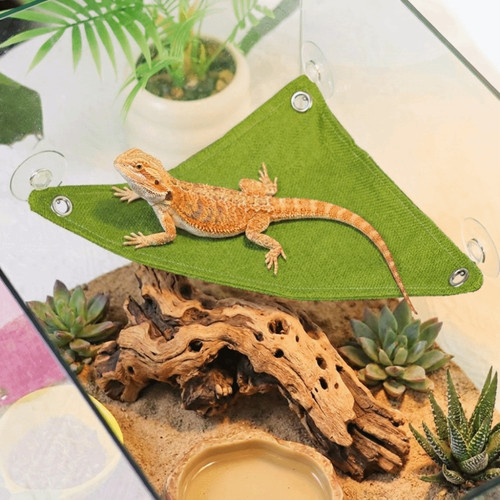 Reptile hammock bearded - reptile,