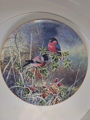 Coalport bullfinches david - bullfinches,