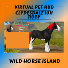 Wild Horse Island - Clydesdale IUH - Ruby - Black Sabino Coat -