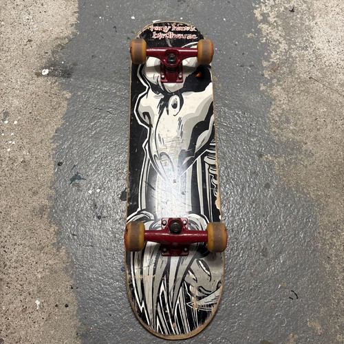 Tony hawk birdhouse falcon - falcon, 2